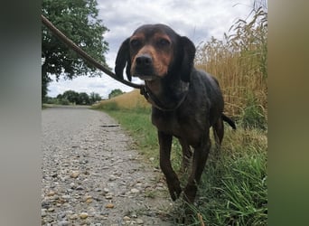 Missy braucht Liebe