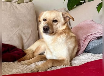 Snookie sucht sein Zuhause