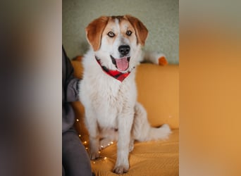 Hallo! Ich bin Brut – und ich bin bereit, dein Herz zu erobern.