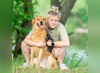 Hanny sucht ihren platz für immer
