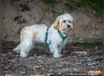 Carmen ist freundlich und kuschelt gerne