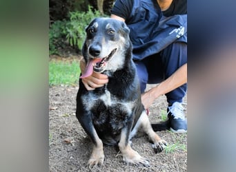 Fonzy- Unikat sucht ebensolches - und Liebe!