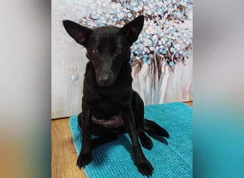 KIRA❤️sanftes, verschmustes Sonnenscheinchen sucht Liebe & Geborgenheit
