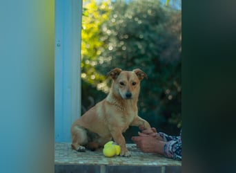 Sanfte Martha sucht ihr Zuhause
