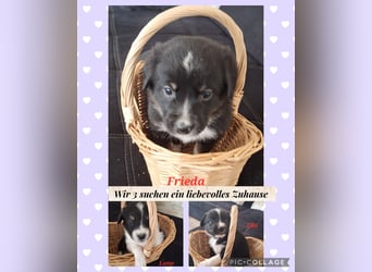 Sie sind endlich da 4 Mädels und 5 Jungs