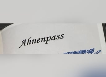 NEUE Welpen sind da.. die reinrassigen Dogo Argentinos mit Ahnenpass