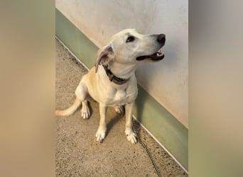 Lilly – sensibel, aktiv, besonders. Wer gibt ihr diesmal die richtige Chance?