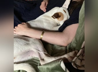Barbi, sucht dringend einen neuen Platz