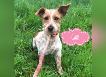 Gabi ein kleiner Clown