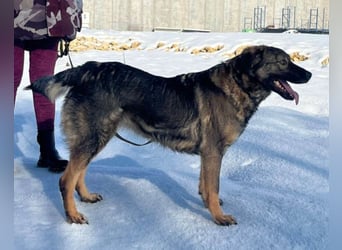Saga ❤️ super lieb & menschenbezogen!