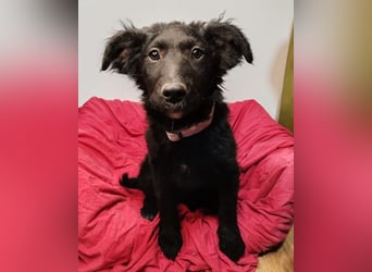 Bruna ❤️ sucht ihre Familie zum Schmusen