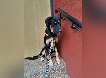 Tina: Lebensfreude pur