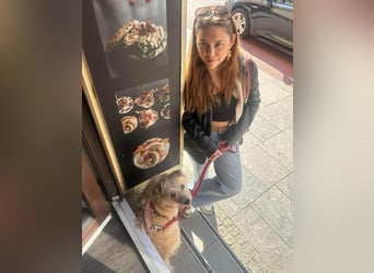Kleiner David sucht seine Familie