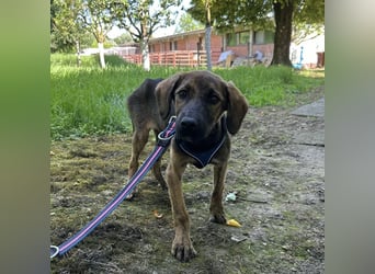 Nena ein kleiner Engel