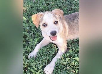Kleine Nadja ( * 03 / 2025 ) sucht ihre Familie