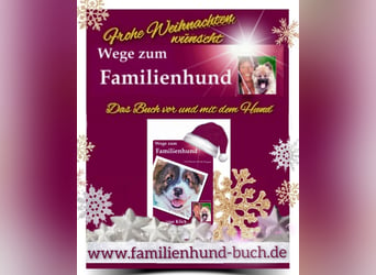 Vor und mit dem Welpen, Junghund, erwachsenen Hund: Das Buch Wege zum Familienhund