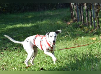 Sind Sie bereit, für die traumhafte Behla?