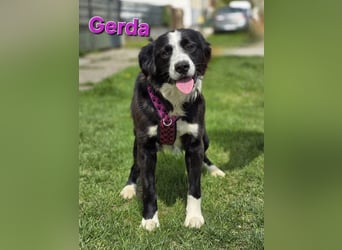 Gerda♥️
