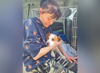Sina – kleine Kämpferin mit großem Herzen sucht ihr Für-Immer-Zuhause