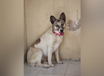 ❤️ CHISPITA ❤️