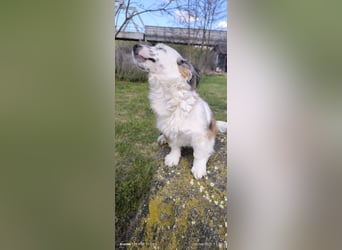 Kleine süße Maus  Anna