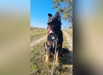 Benny