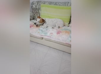 Romeo möchte ankommen