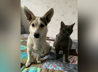 Mara und Max wünschen sich ein neues Zuhause