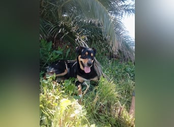 Emy: „Jetzt muß es um mich gehen!“