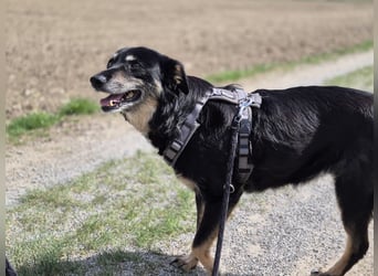 Mia – sanfter, ruhiger Sonnenschein