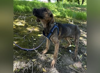 Nena ein kleiner Engel