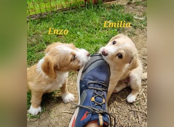 Hübsche Emilia