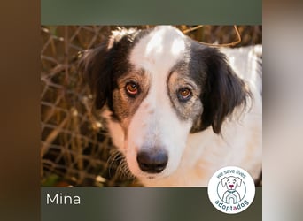 Mina: Ruhige Seele mit großem Herz
