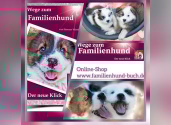 Welpe, Hund, Mischling, Rasse - Erziehung zum Familienhund - einfach gemacht