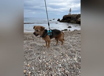 Micky ist ein Traumjunge und liebt das Leben