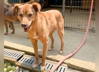 SVEN – ein Senior auf der Suche nach dem Glück