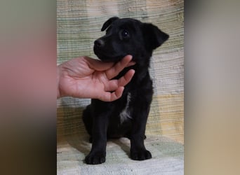 Sidney, Black Baby freut sich auf Dich!