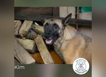 Kim: Menschen mit Geduld, Zeit und Liebe gesucht