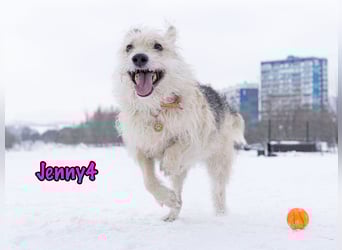 Jenny4 geb. 01/2018 - bezaubernde und super liebe, kleine Wuschelhündin!