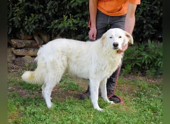 Kandie - kleines Mädchen mit großen Plänen