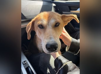 Zara ❤️ will endlich Liebe+Nähe spüren