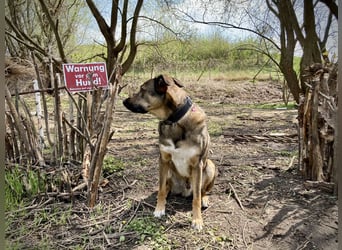 Tucker braucht ein neues Zuhause