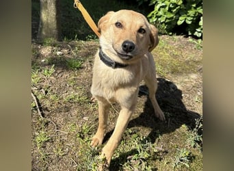Lilo eine freundliche kleine Prinzessin