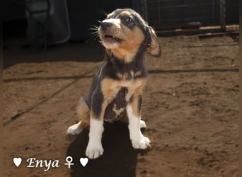 Jackie/Enya sucht ihre Familie ab Oktober