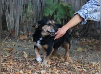 Ruby: Besitzerin unerwartet gestorben