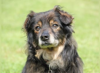 FRODO sucht ein Zuhause