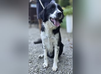 Coco der Liebevolle