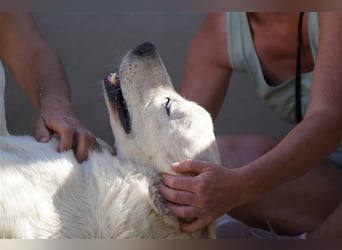 Bunti-wartet auf ein XXL-Körbchen