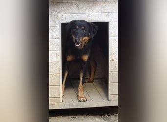 MAILA, sucht Menschen mit Herz (mit Videos!)