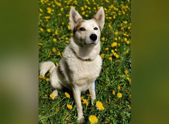 Hallo, ich bin Bella!